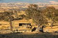 aussie rural